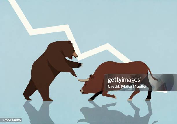 bull and bear fighting under falling stock market arrow - bull bear stock illustrations