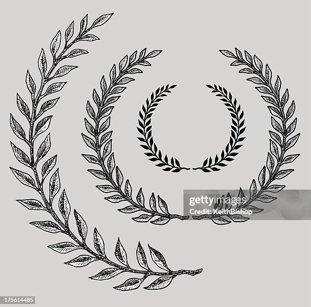 illustrations, cliparts, dessins animés et icônes de olive branch - antiquité-grecque