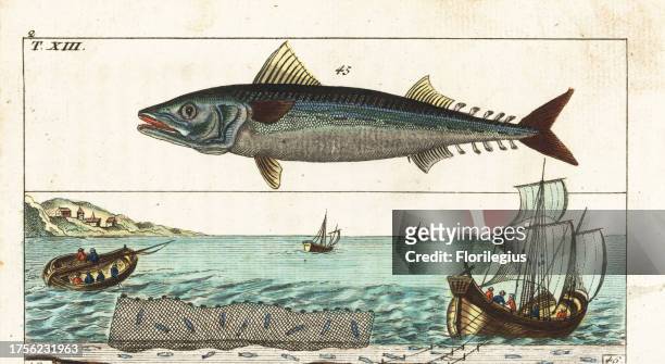 Atlantic mackerel, Scomber scombrus 45, and fishermen on a large boat fishing for mackerel with long lines and hooks, and in a small boat with a...
