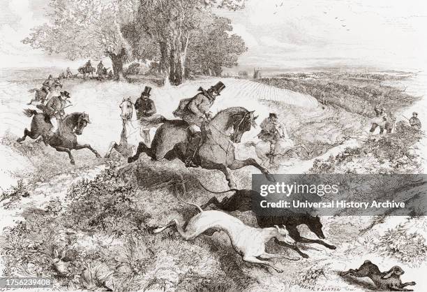 Hare coursing, the pursuit of hares with greyhounds, in England in the 19th century. From Album-Evenement, Prime du Journal L'Evenement, published...