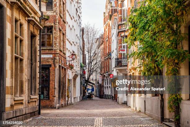 narrow cobbled alley in antwerpen old town, belgium - antwerpen belgien bildbanksfoton och bilder