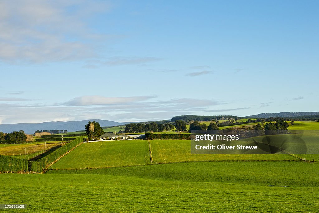 Rolling farmland