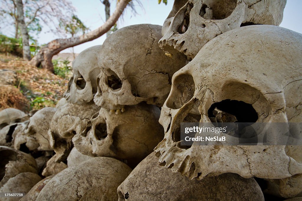 Skulls of enemies