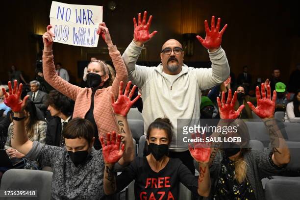 Protesters raise their painted hands as US Secretary of State Antony Blinken and Defense Secretary Lloyd Austin testify during a Senate...