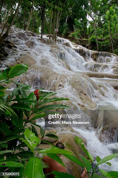 dunn's river falls - dunns river falls stock pictures, royalty-free photos & images