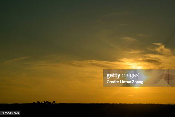 General view of the Fujin Everglades National Park on August 1, 2013 in Fujin, Heilongjiang Province, China. Sanjiang natural wetland area located in...