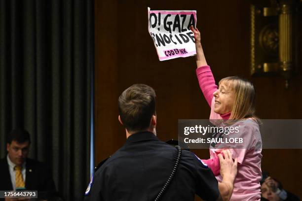 Capitol Police Officer confronts Code Pink protestor Medea Benjamin during a Senate Appropriations Committee hearing to examine the national security...