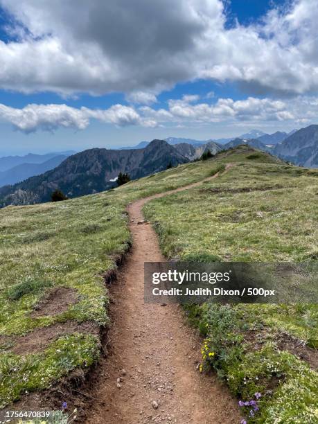 scenic view of landscape against sky,brinnon,washington,united states,usa - baqueira beret stock pictures, royalty-free photos & images