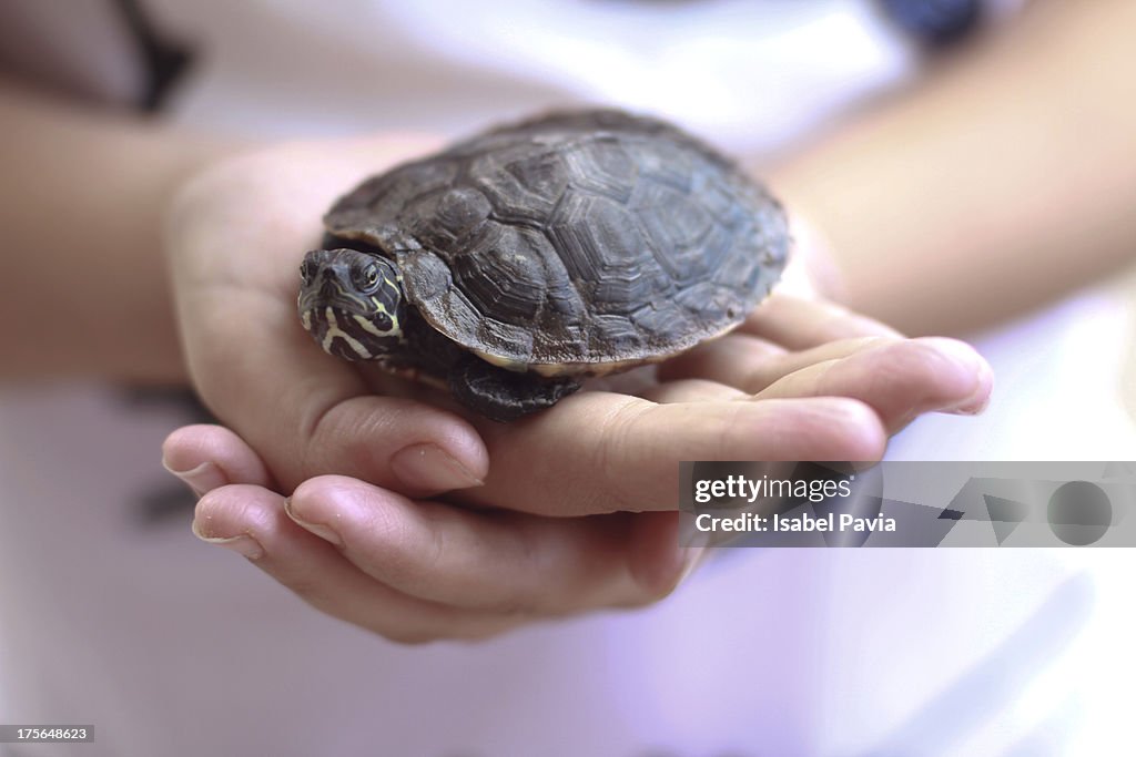 Girl holding a turtle