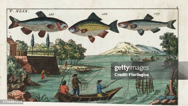 Alver, Alburnus alburnus 179, nase, Chondrostoma nasus 181, Prussian carp, Carassius gibelio 182, and fishermen enjoying fishing on the Seine at...