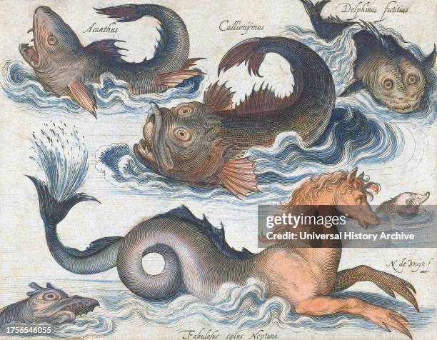 Seahorse and other imaginary sea creatures, after a 17th century engraving by Nicolaes de Bruyn. Later colourization.