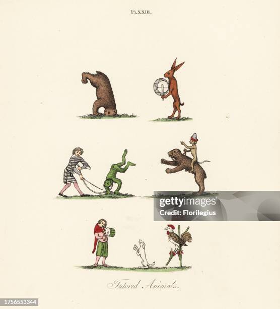 Medieval trained animals: bear doing a headstand, hare with tabor , juggler and tumbling monkey, monkey jockey on a muzzled bear and cock dancing on...