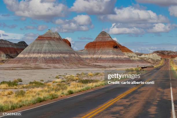 a beautiful view of pietrified forest national park during a summer day, arizona, united states of america - parque nacional da floresta petrificada - fotografias e filmes do acervo