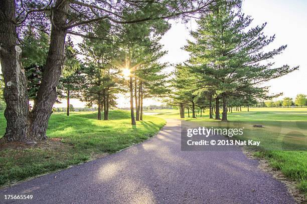 sunny landscape - rural ontario canada stock pictures, royalty-free photos & images