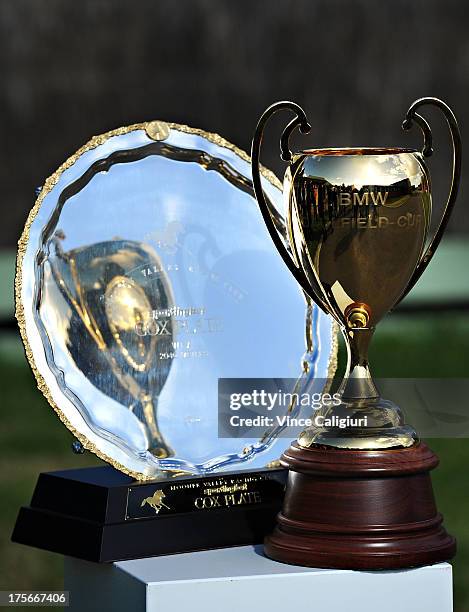 The Caulfield Cup is reflected in The Cox Plate at todays announcement of 2013 Spring Carnival nominations at Flemington Racecourse on August 6, 2013...