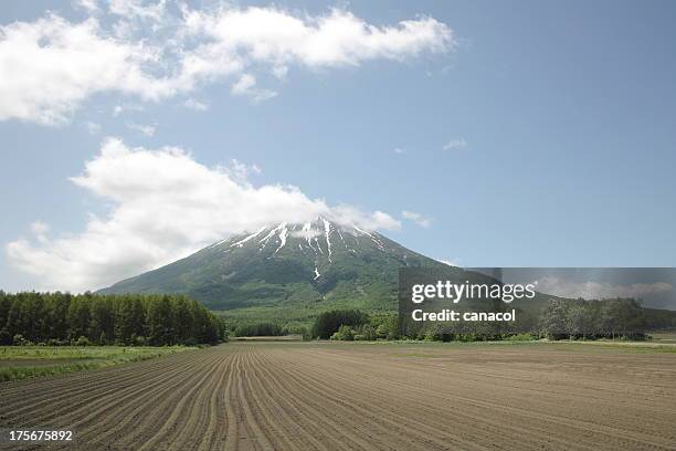 mt.youtei - mount yotei bildbanksfoton och bilder