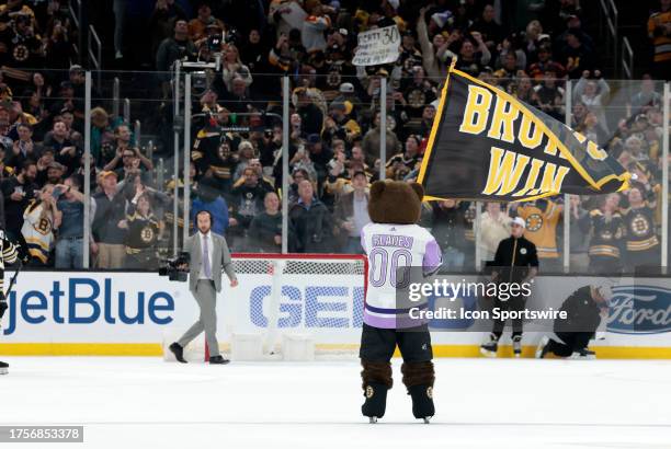 Blades in his Hockey Fights Cancer jersey waves the Bruins Win banner after a game between the Boston Bruins and the Florida Panthers on October 30...