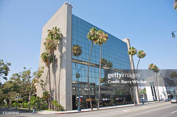 palms near mirror-faced building - academy of motion picture arts and sciences photos et images de collection