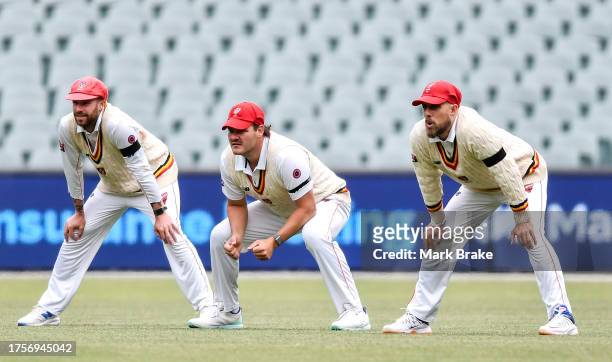Daniel Drew , Ben Manenti and Jake Lehmann captain of the Redbacks wearing black armbands in the slips for Fawad Ahmed who lost his son on Monday...