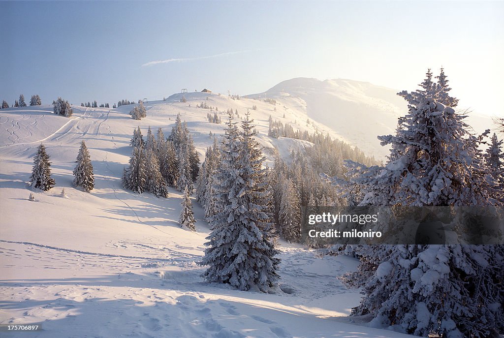 Brambrüesch