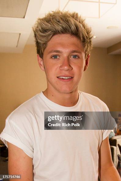 One Direction band member Niall Horan poses for a photo at the One ...