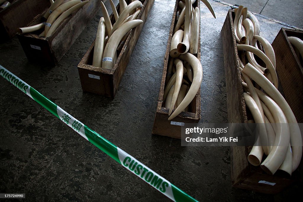 Hong Kong Customs Seize Endangered Species Cargo