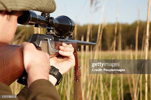 patience is the secret to a perfect shot - jager stockfoto's en -beelden