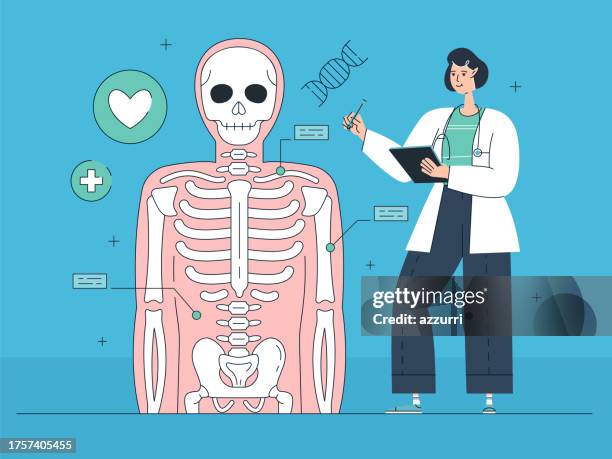 menschliche anatomie flat design illustration - menschliches skelett stock-grafiken, -clipart, -cartoons und -symbole