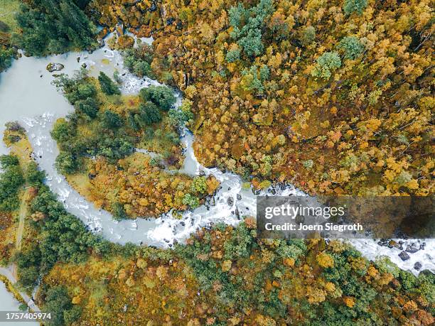 autumn's aerial view: drone-captured riverbed - riverbed stock pictures, royalty-free photos & images