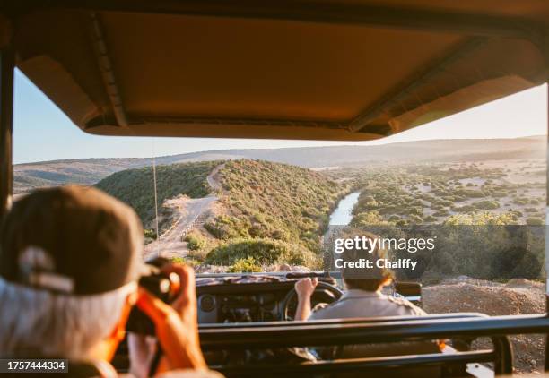 exploring safari with a female ranger - chincoteague national wildlife reserve stockfoto's en -beelden