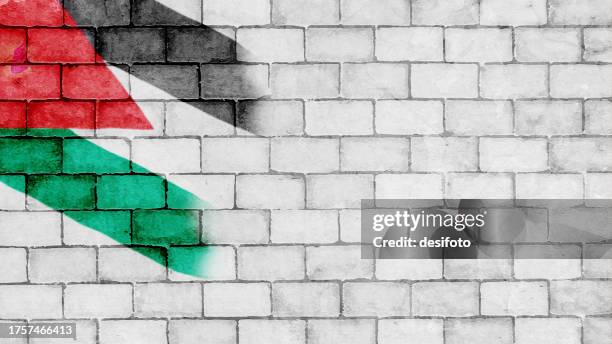 horizontal weathered rustic rough gray white color brickwall textured grunge blank backgrounds with palestine flag painted as bright vibrant colourful graffiti - whitewashed brick stock illustrations