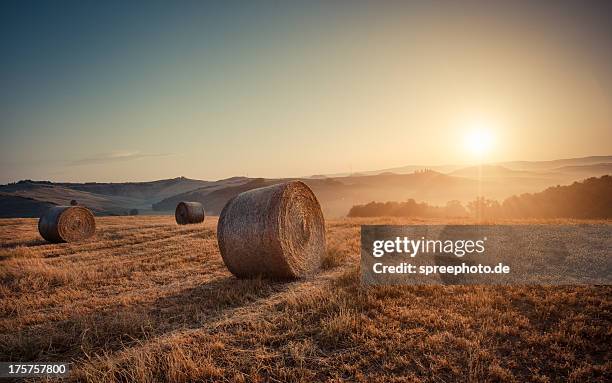 autumn scene at tuscany with bale of straws - bale stock pictures, royalty-free photos & images