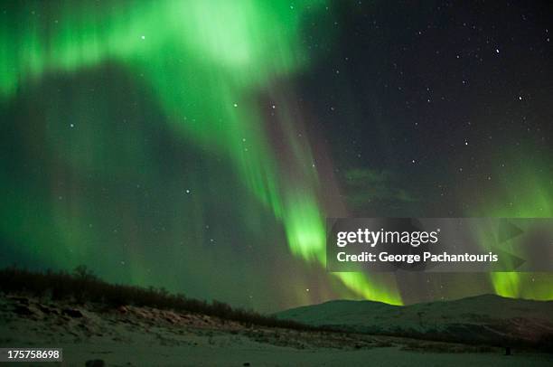 aurora borealis - aurora stock pictures, royalty-free photos & images