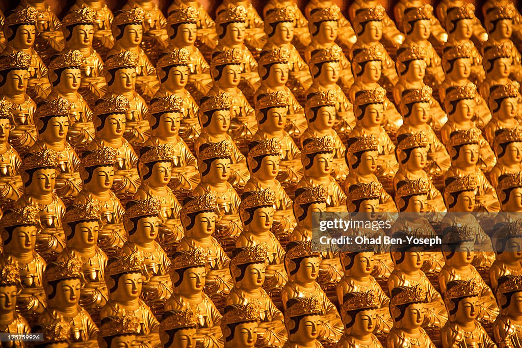 1000 Golden Buddhas