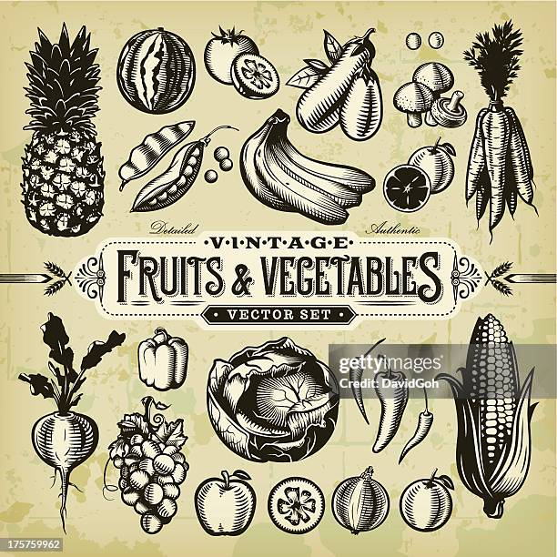 ilustraciones, imágenes clip art, dibujos animados e iconos de stock de & conjunto de verduras vintage frutas - tomato stock illustrations