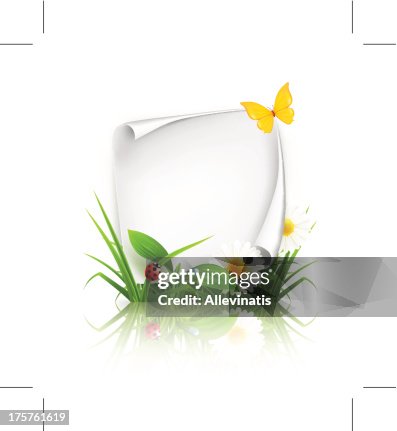 Spring Rectangle Frame Vector Spring Frame High-Res Vector Graphic - Getty Images