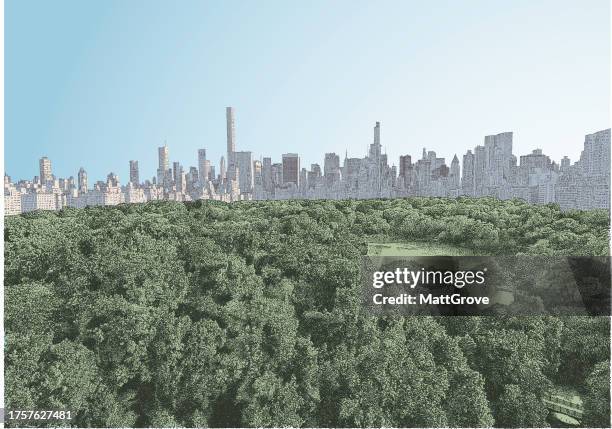 central park at sunset - central park new york stock illustrations