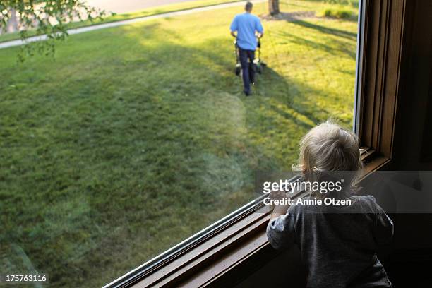 lawn mowing out window - window with view on garden stockfoto's en -beelden