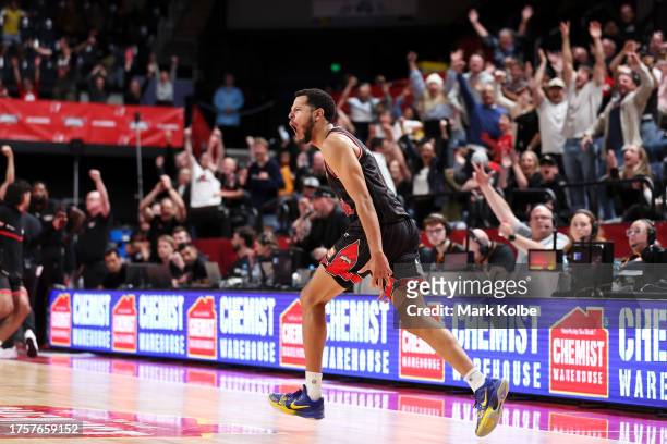 Tyler Harvey of the Hawks celebrates scoring the match winning three point basket during the round five NBL match between Illawarra Hawks and Cairns...