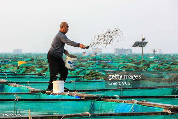 Fisherman works at a floating fish farm on October 25, 2023 in Rongcheng, Weihai City, Shandong Province of China.