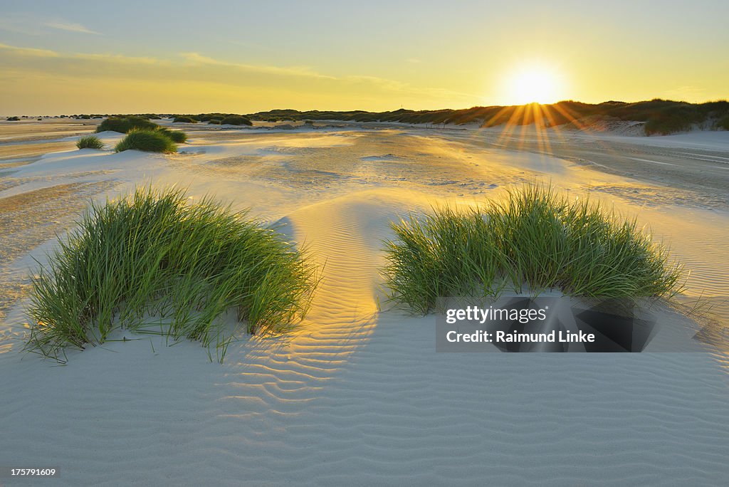North Sea Sandbank Kniepsand