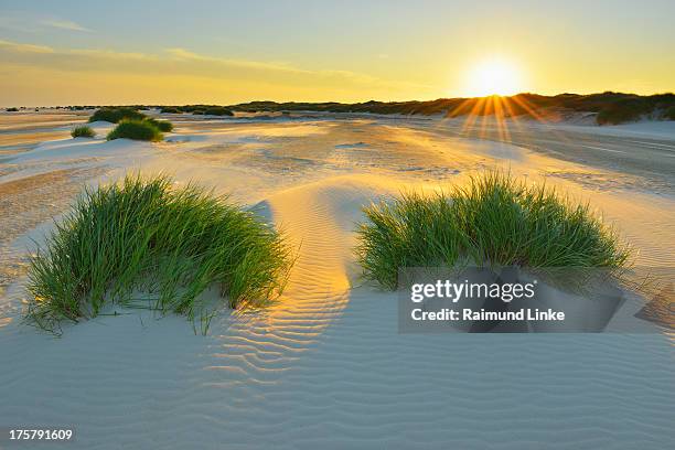 north sea sandbank kniepsand - amrum stock-fotos und bilder