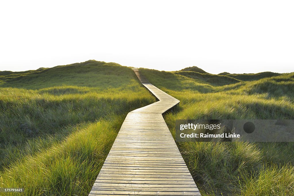 Wooden Walkway through Dunes