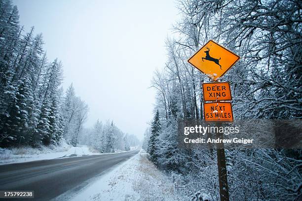 deer crossing sign along snowy road. - deer crossing stock pictures, royalty-free photos & images
