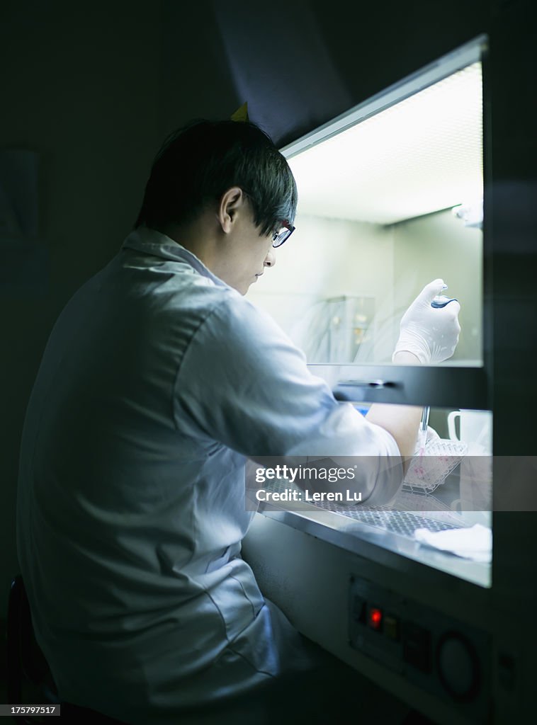Scientist working in a cell engineering laboratory