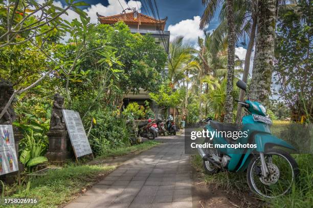 ubud bali, indonesia. - indonésia fotografías e imágenes de stock