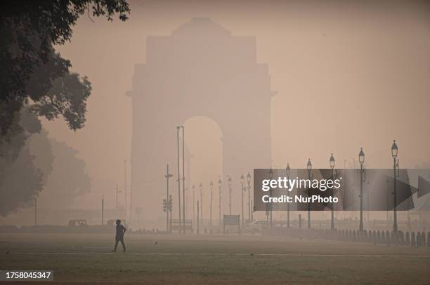 Man walks on the lawns of the Kartavya Path near India Gate in New Delhi, India on November 1, 2023.