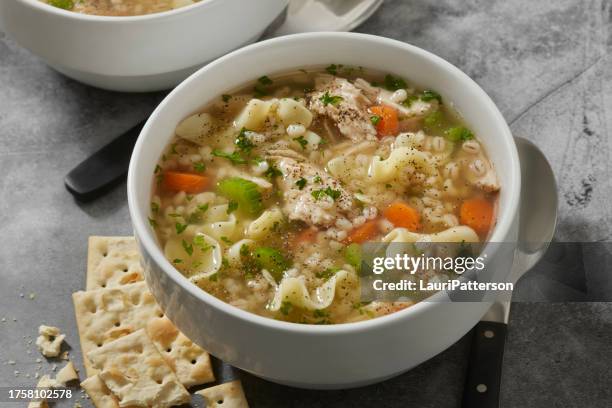 sopa de fideos con verduras y pollo y cebada - sopa de pollo con fideos fotografías e imágenes de stock