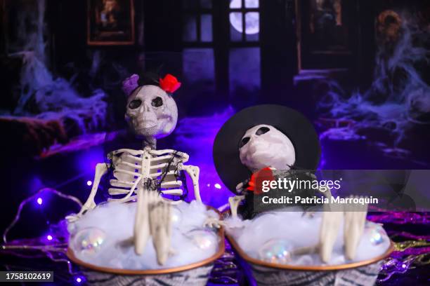 catrina and catrin skeletons in a bathtub - the catrina and the catrin 個照片及圖片檔