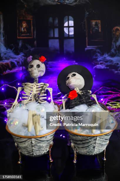 catrina and catrin skeletons in a bathtub - the catrina and the catrin stockfoto's en -beelden